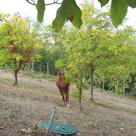 Cascina Setteventi Момбаруццо