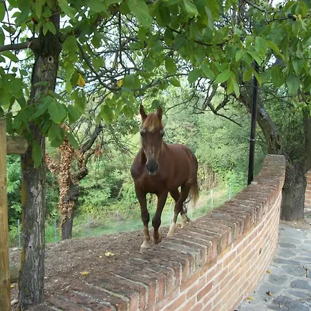Cascina Setteventi Фермерский дом
